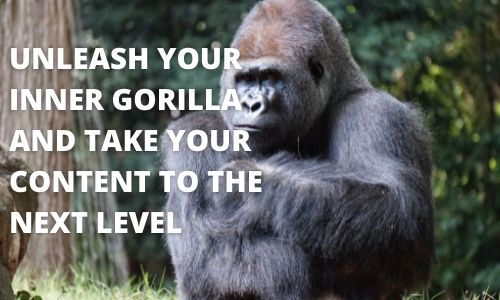 CONTENT GORILLA 2.0 REVIEW