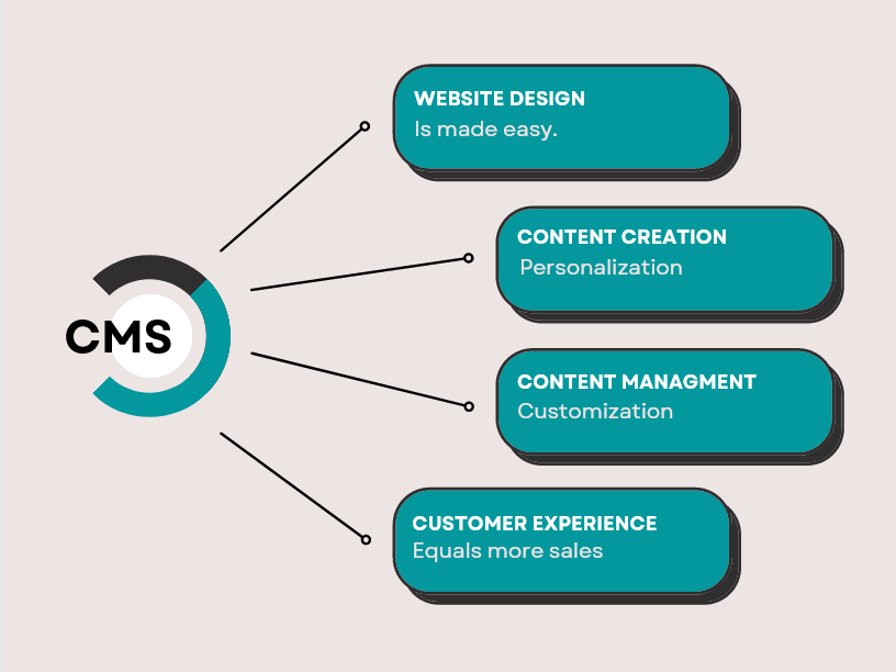 What Does A CMS Do
