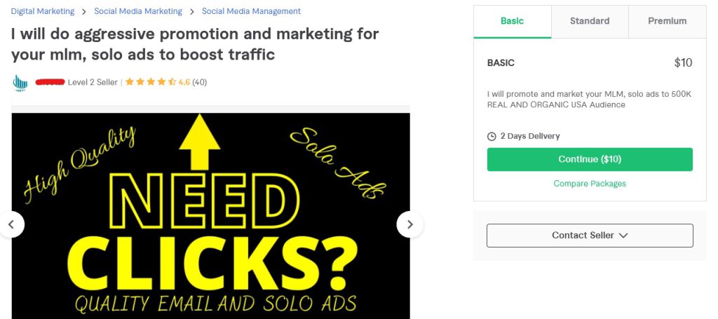 Fiverr solo ad seller example 2