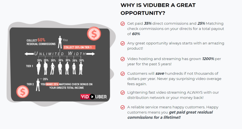 viduber compensation plan