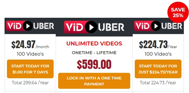 viduber pricing and costs