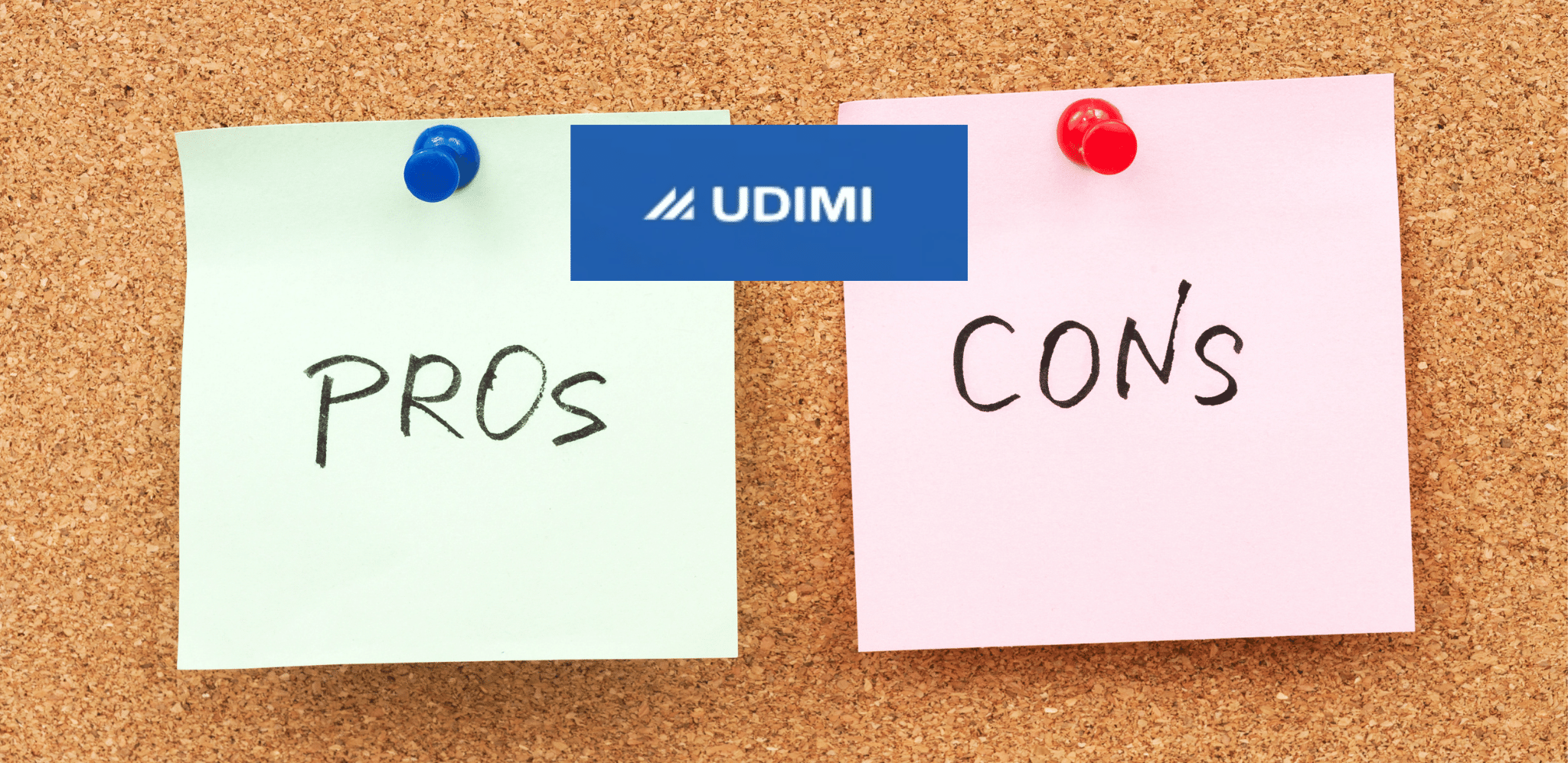 Udimi Pros And Cons