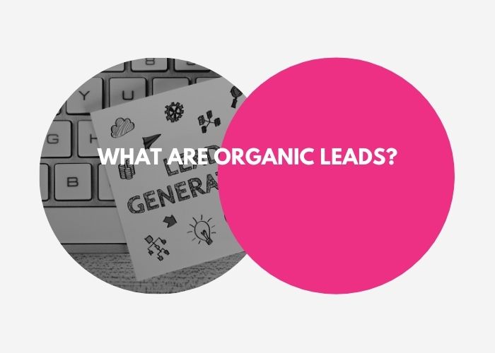 WHAT ARE ORGANIC LEADS