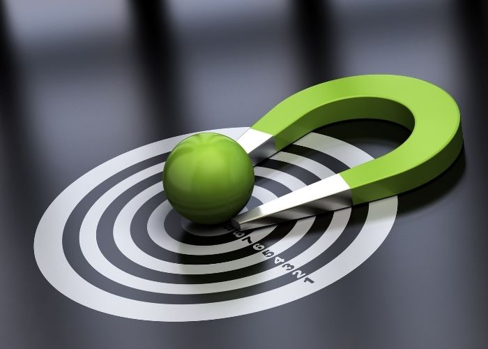 use lead magnets to increase organic leads use lead magnets to increase organic leads