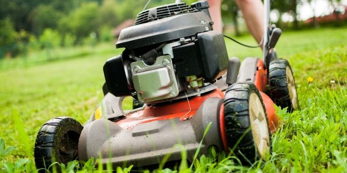 lawnmowing family business ideas